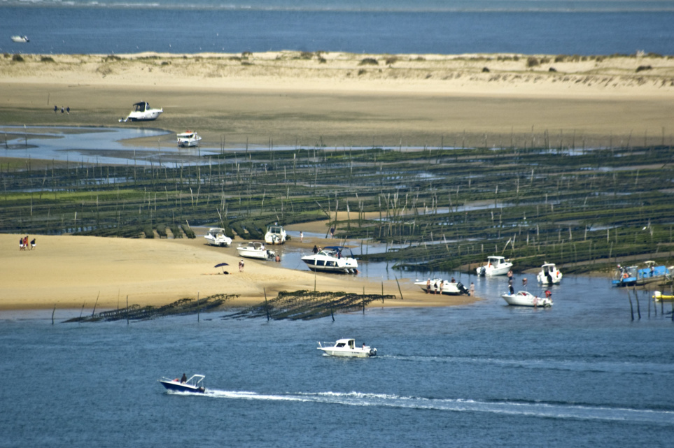 Les sites du bassin d’Arcachon à absolument voir en catamaran croisière