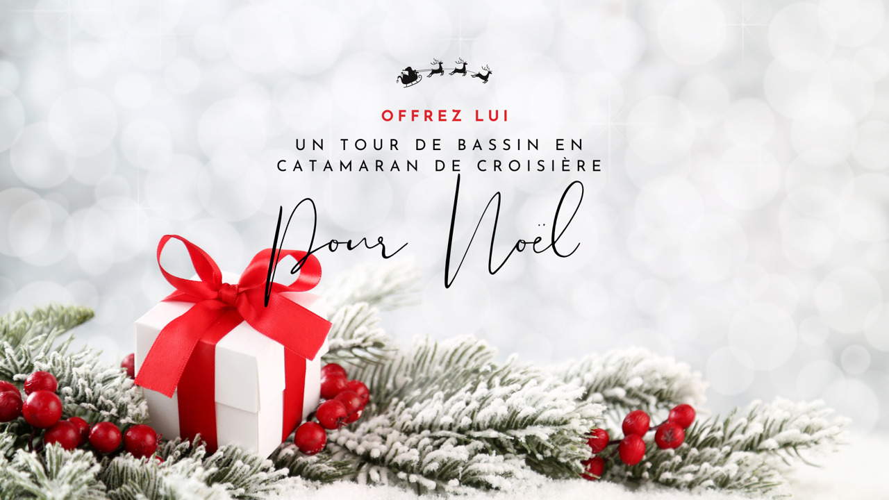 Cadeau noël arcachon