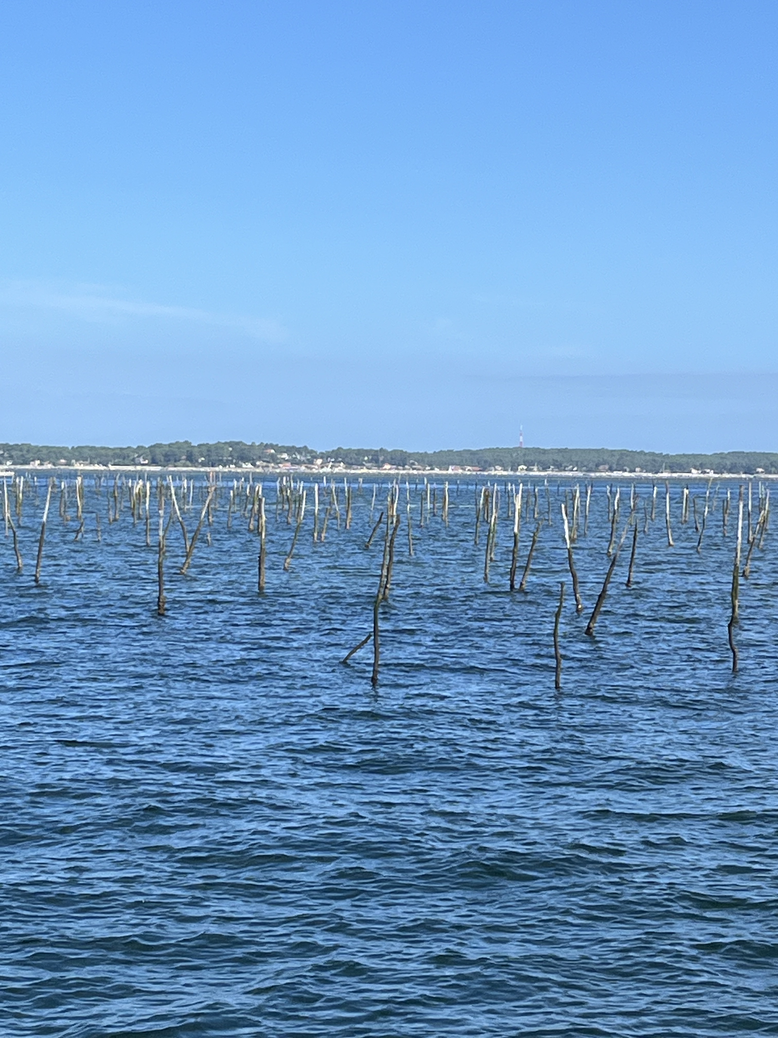 Parcs ostréicoles sur le bassin d’arcachon